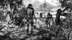 Pithecanthropus