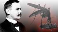 Ronald Ross penemu parasit malaria berkebangsaan Inggris