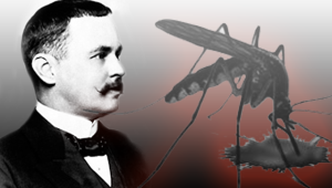Ronald Ross penemu parasit malaria berkebangsaan Inggris