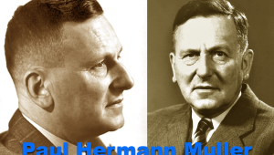 Sejarah penemuan DDT oleh Paul Hermann Muller