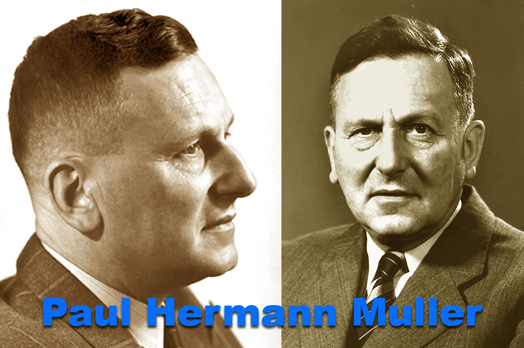 Sejarah penemuan DDT oleh Paul Hermann Muller