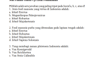 Soal Sejarah Zaman Pra Aksara Kelas VII
