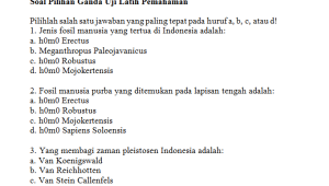 Soal Sejarah Zaman Pra Aksara Kelas VII