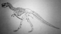 dinosaurus