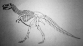 Perubahan fosil di lapisan bumi