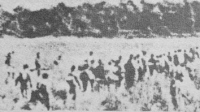 divisi siliwangi
