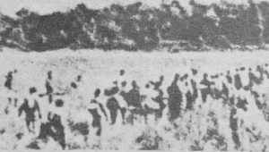 divisi siliwangi