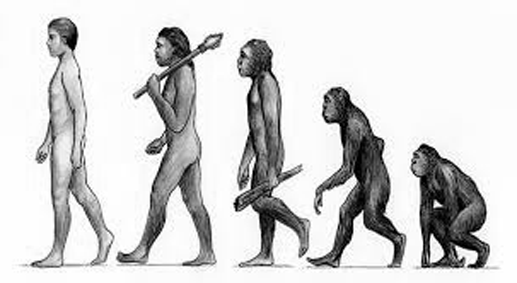 Pengertian manusia purba