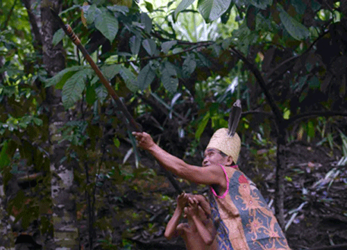 Senjata Tradisional Kalimantan Barat Lengkap Dan Penjelasannya